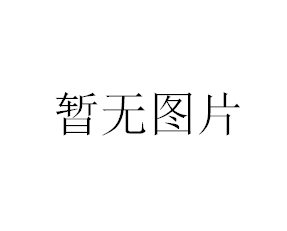 上海衡平电子天平JY60001